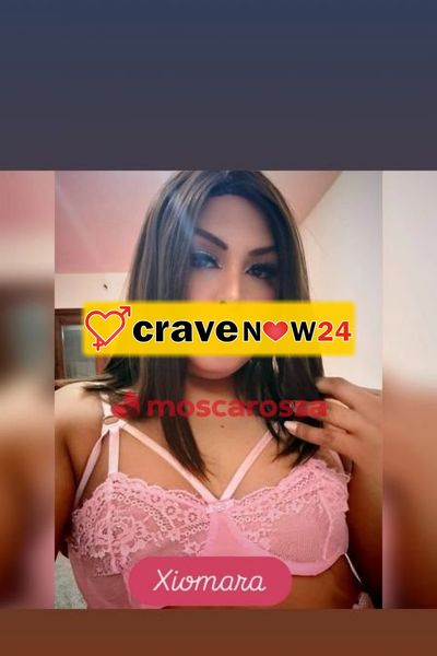 Ximena trento nord