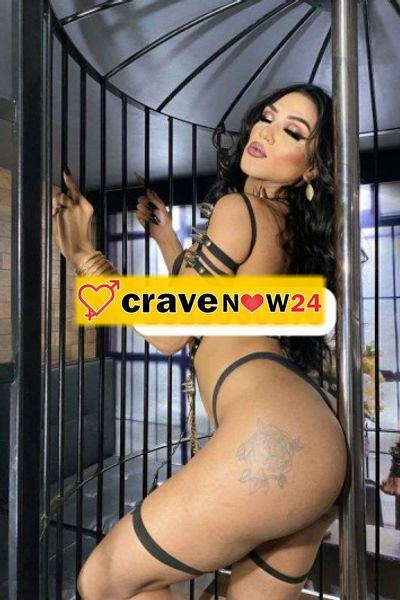 Fiestera attivissima