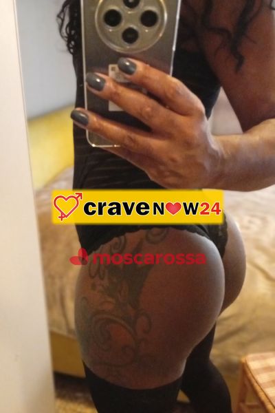 Laysa b