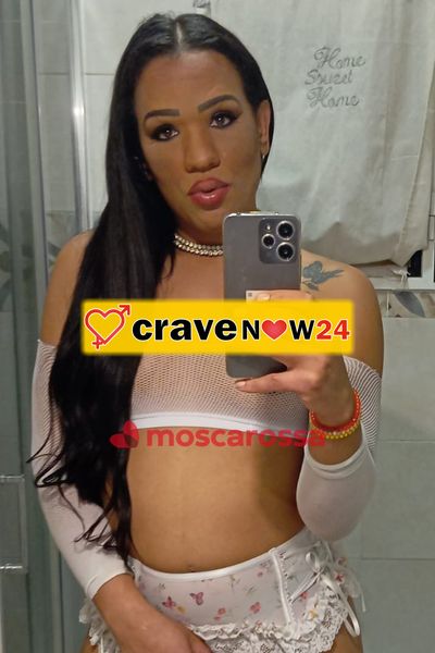 Ayka brasiliana