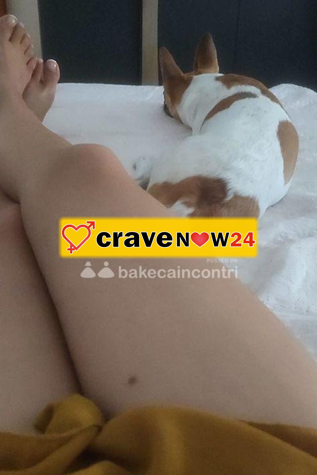 Sono italiana e ci tengo alle mie privacy Single da poco e ho cominciato a fare un solo incontro a settimana e sono soddisfatta massima riservatezza d