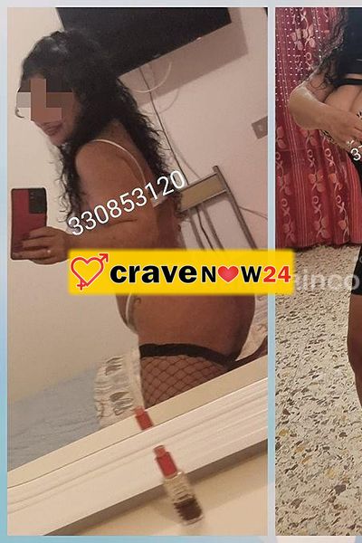 Latina disponible