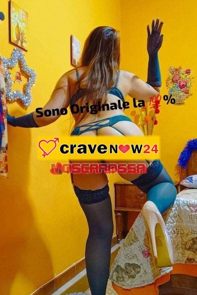 Scrivimi su whatsapp