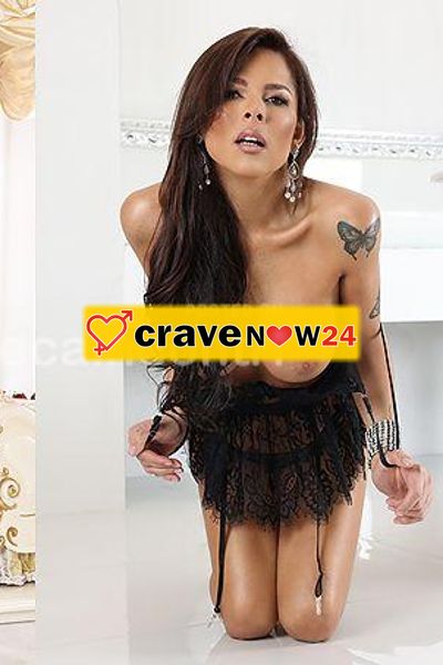 Novita a biella 🌺🌺🌺🌺🌺ragazzi brasiliani 🌹🌹🌹🌹🌹🌷🌷🌷🌷🌷🌷🌷Biella Novità