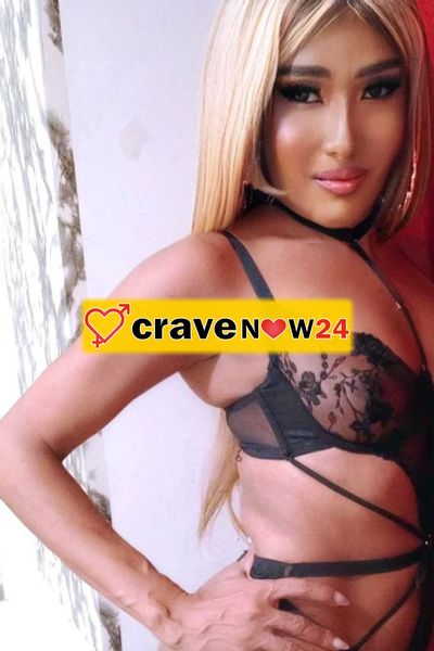 Vivian trans brasiliana