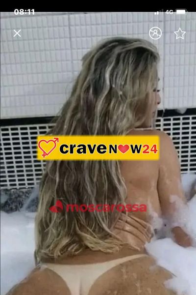 Vivian trans brasiliana