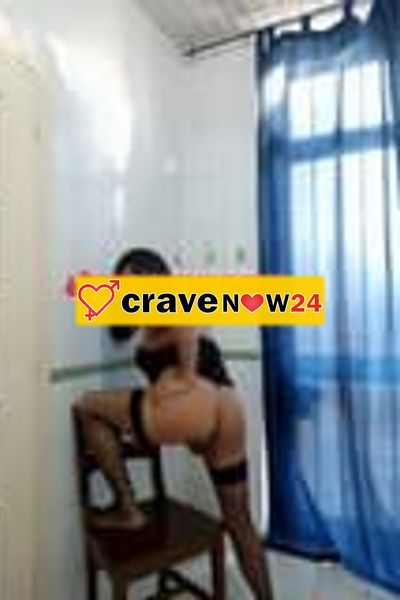 Trans elvira