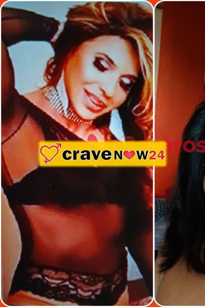 Trans bruna top trans