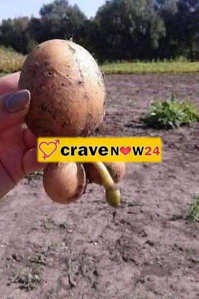 Donna matura molto arrapata in video stai in videochiamata