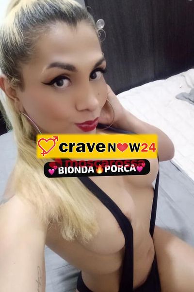 Porcellina trans