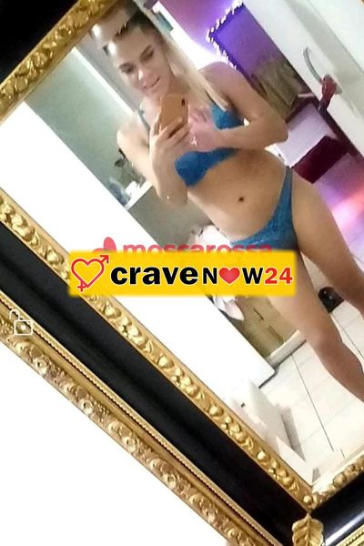 Ariana latina trans