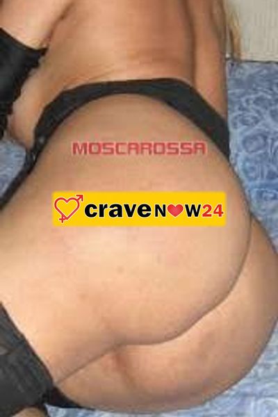 Ambra sampa