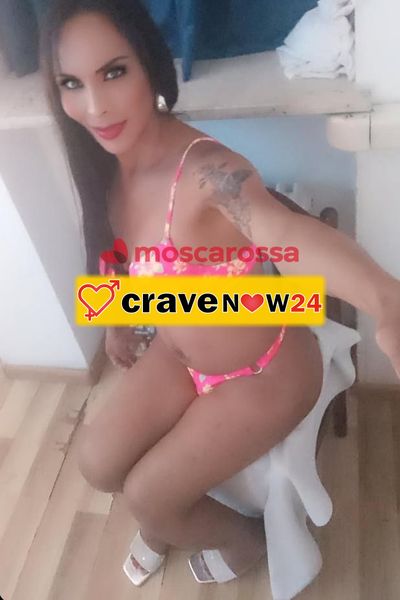 Xaonita