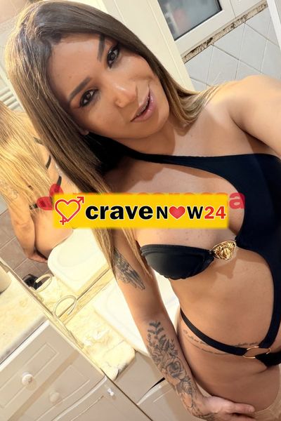 Sammy brasiliana