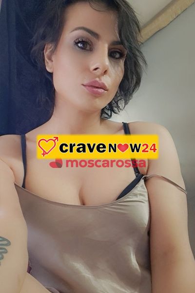Travesti aylar