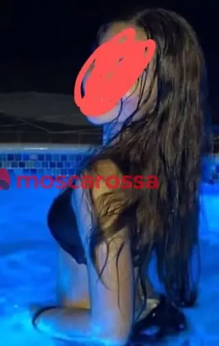 New
