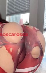 Rosa trans
