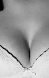 Lory transex