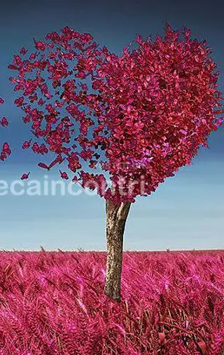 Italiana 31 anni Silvy