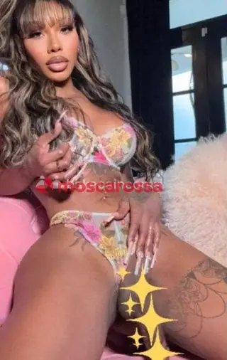 Anaconda