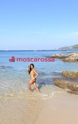 Roberta maliziosa