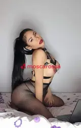 Flavia ruvaz