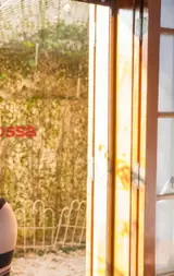 Deborah carter transex