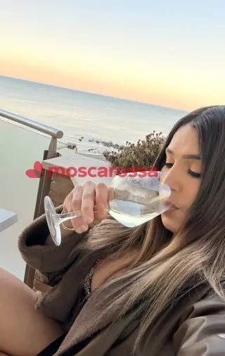 Sammy brasiliana