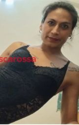 Camila trans