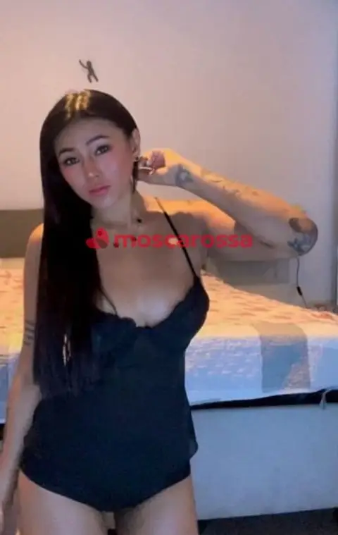 Stella