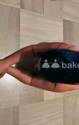 🌸favolosa💘SEXY E SPREGIUDICATA UNA BOCCA CALDA E UNA FIGA BAGNATA ASPETTANO DI ESSERE RIEMPITE