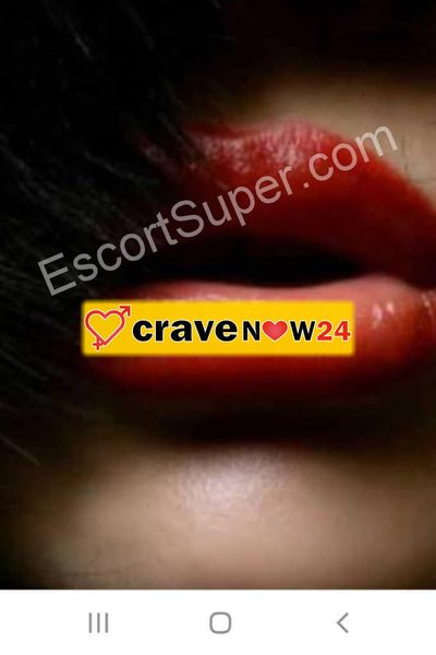 GATTINA PERSIANA SUPER