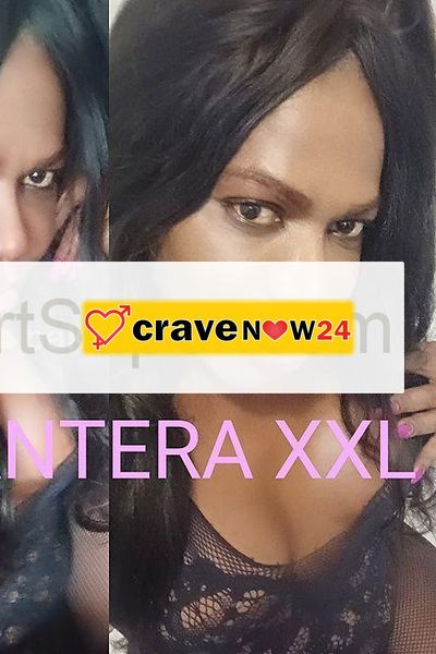 Trans pantera black xxl