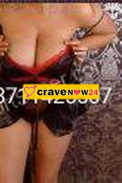 GATTINA PERSIANA SUPER