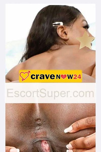 Trans xxl