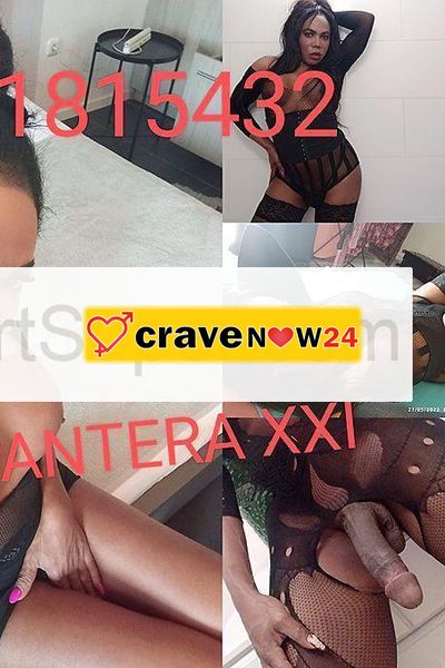 Trans pantera black xxl