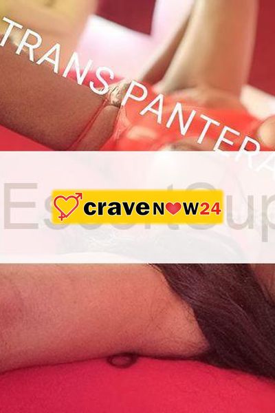 Trans pantera black xxl