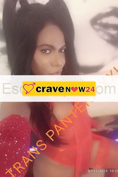 Trans pantera black xxl